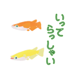 動くメダカ7（個別スタンプ：7）