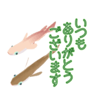 動くメダカ7（個別スタンプ：8）