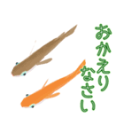 動くメダカ7（個別スタンプ：9）