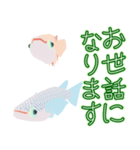 動くメダカ7（個別スタンプ：11）