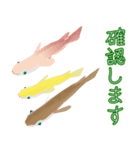 動くメダカ7（個別スタンプ：15）