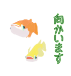 動くメダカ7（個別スタンプ：23）