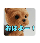 もふもふヨークシャーテリアスタンプ（個別スタンプ：1）