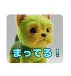 もふもふヨークシャーテリアスタンプ（個別スタンプ：10）