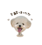 ノアくん.mix（個別スタンプ：1）