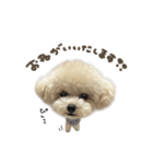 ノアくん.mix（個別スタンプ：3）