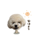 ノアくん.mix（個別スタンプ：7）
