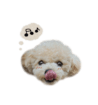 ノアくん.mix（個別スタンプ：16）