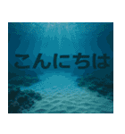 リアル風景写真であいさつ（個別スタンプ：9）