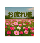 リアル風景写真であいさつ（個別スタンプ：19）