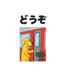 わんこの電車旅スタンプ（個別スタンプ：25）