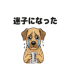 わんこの電車旅スタンプ（個別スタンプ：35）