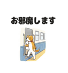 わんこの電車旅スタンプ（個別スタンプ：38）