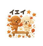 ふわふわトイプードルの秋スタンプ（個別スタンプ：37）