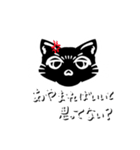 ブチギレ猫(黒猫ver.)（個別スタンプ：16）