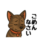 琉球犬の日常スタンプ（個別スタンプ：9）