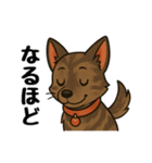 琉球犬の日常スタンプ（個別スタンプ：10）