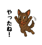 琉球犬の日常スタンプ（個別スタンプ：12）