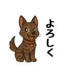 琉球犬の日常スタンプ（個別スタンプ：13）