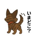 琉球犬の日常スタンプ（個別スタンプ：18）