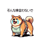 子どもに送る父母太っちょ柴犬（個別スタンプ：2）