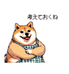 子どもに送る父母太っちょ柴犬（個別スタンプ：3）