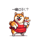 子どもに送る父母太っちょ柴犬（個別スタンプ：4）