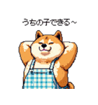 子どもに送る父母太っちょ柴犬（個別スタンプ：7）
