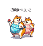 子どもに送る父母太っちょ柴犬（個別スタンプ：11）