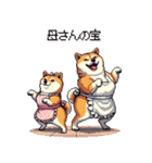 子どもに送る父母太っちょ柴犬（個別スタンプ：13）