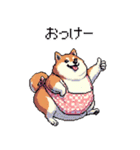 子どもに送る父母太っちょ柴犬（個別スタンプ：14）