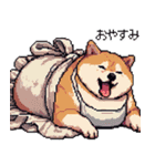 子どもに送る父母太っちょ柴犬（個別スタンプ：23）
