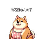子どもに送る父母太っちょ柴犬（個別スタンプ：24）