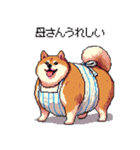 子どもに送る父母太っちょ柴犬（個別スタンプ：26）