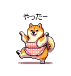 子どもに送る父母太っちょ柴犬（個別スタンプ：33）