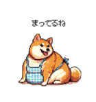 子どもに送る父母太っちょ柴犬（個別スタンプ：34）