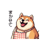 子どもに送る父母太っちょ柴犬（個別スタンプ：37）
