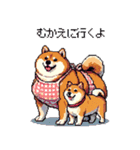 子どもに送る父母太っちょ柴犬（個別スタンプ：38）