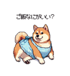 子どもに送る父母太っちょ柴犬（個別スタンプ：39）