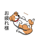 名前入りボーダーコリーレッド（個別スタンプ：5）