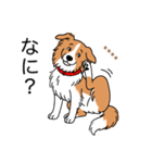 名前入りボーダーコリーレッド（個別スタンプ：8）