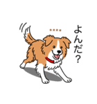 名前入りボーダーコリーレッド（個別スタンプ：9）