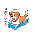 名前入りボーダーコリーレッド（個別スタンプ：14）