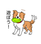 名前入りボーダーコリーレッド（個別スタンプ：15）