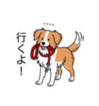 名前入りボーダーコリーレッド（個別スタンプ：16）