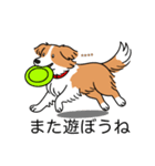 名前入りボーダーコリーレッド（個別スタンプ：17）