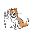 名前入りボーダーコリーレッド（個別スタンプ：18）