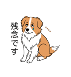 名前入りボーダーコリーレッド（個別スタンプ：19）
