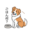 名前入りボーダーコリーレッド（個別スタンプ：20）