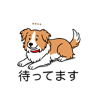 名前入りボーダーコリーレッド（個別スタンプ：23）